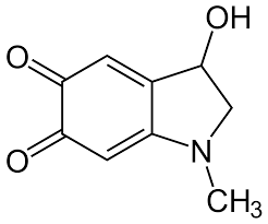 Chemical Structure of Adrenochrome